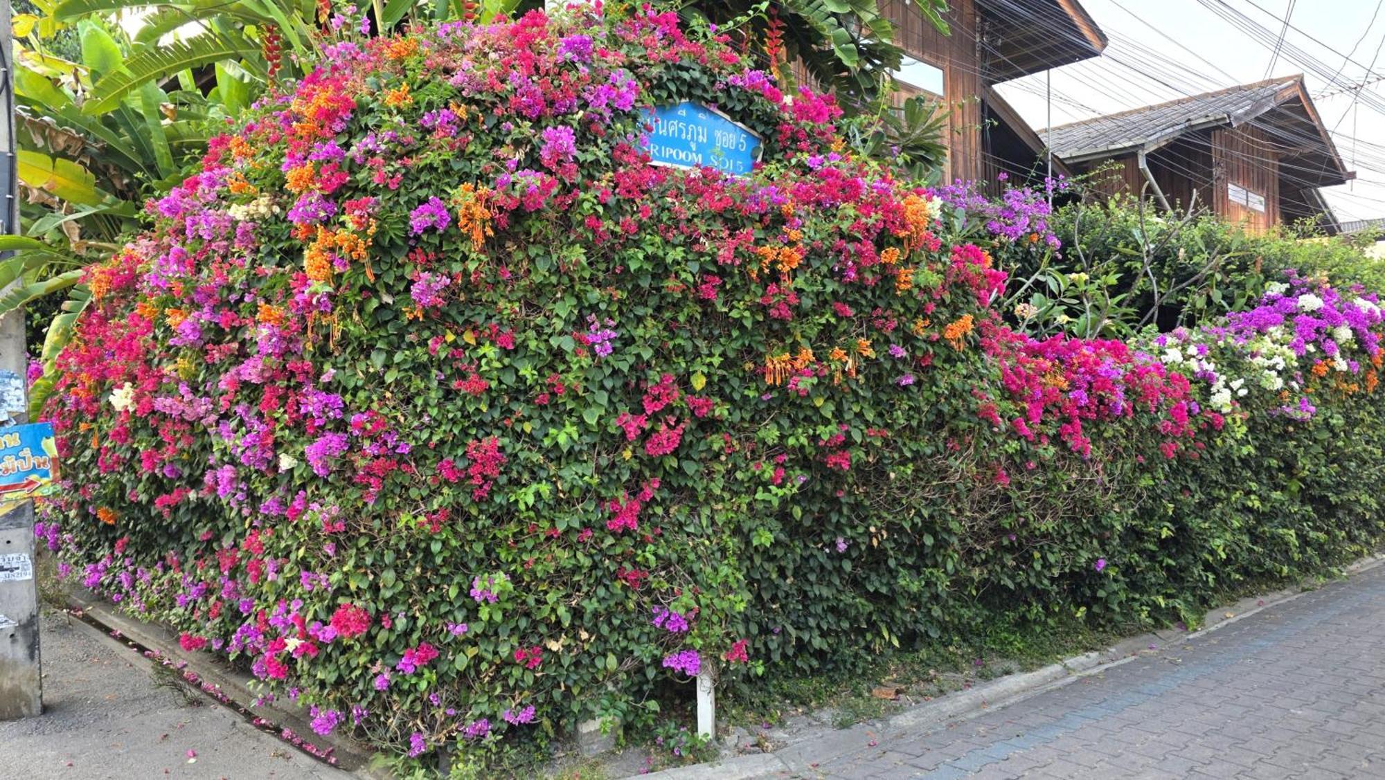 Siriwan Hostel Chiang Mai Bagian luar foto
